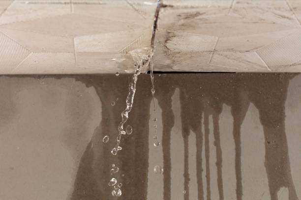 Professional Structural Drying technician working in Central Islip, NY